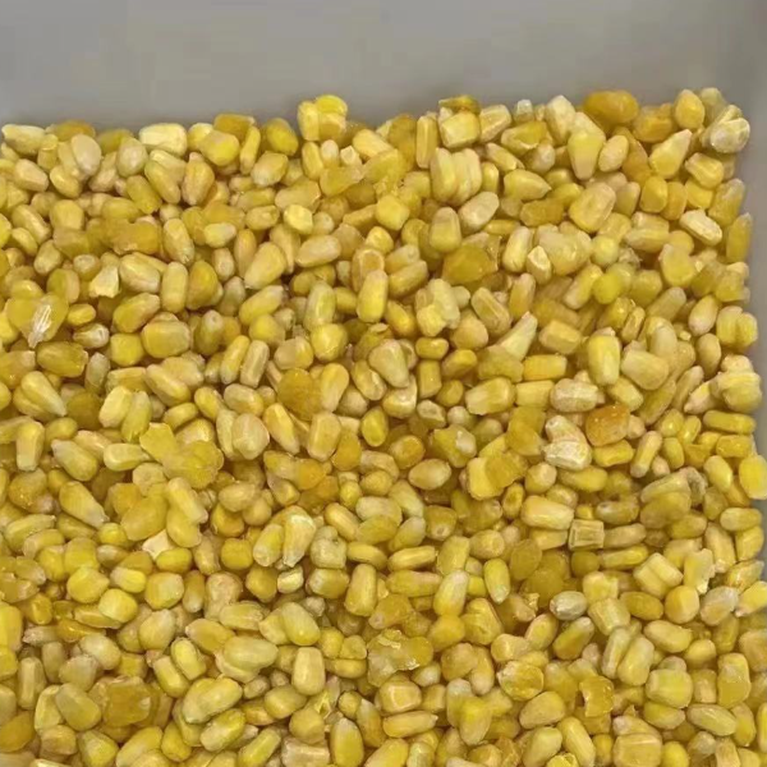 IQF SWEET CORN KERNEL IQF SWEET CORN KERNEL