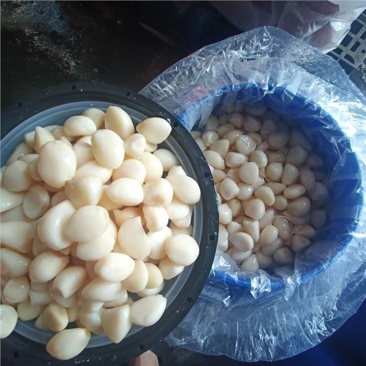 Preserved Garlic Clove In Brine Pickled